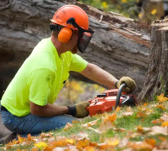 tree services Owensboro